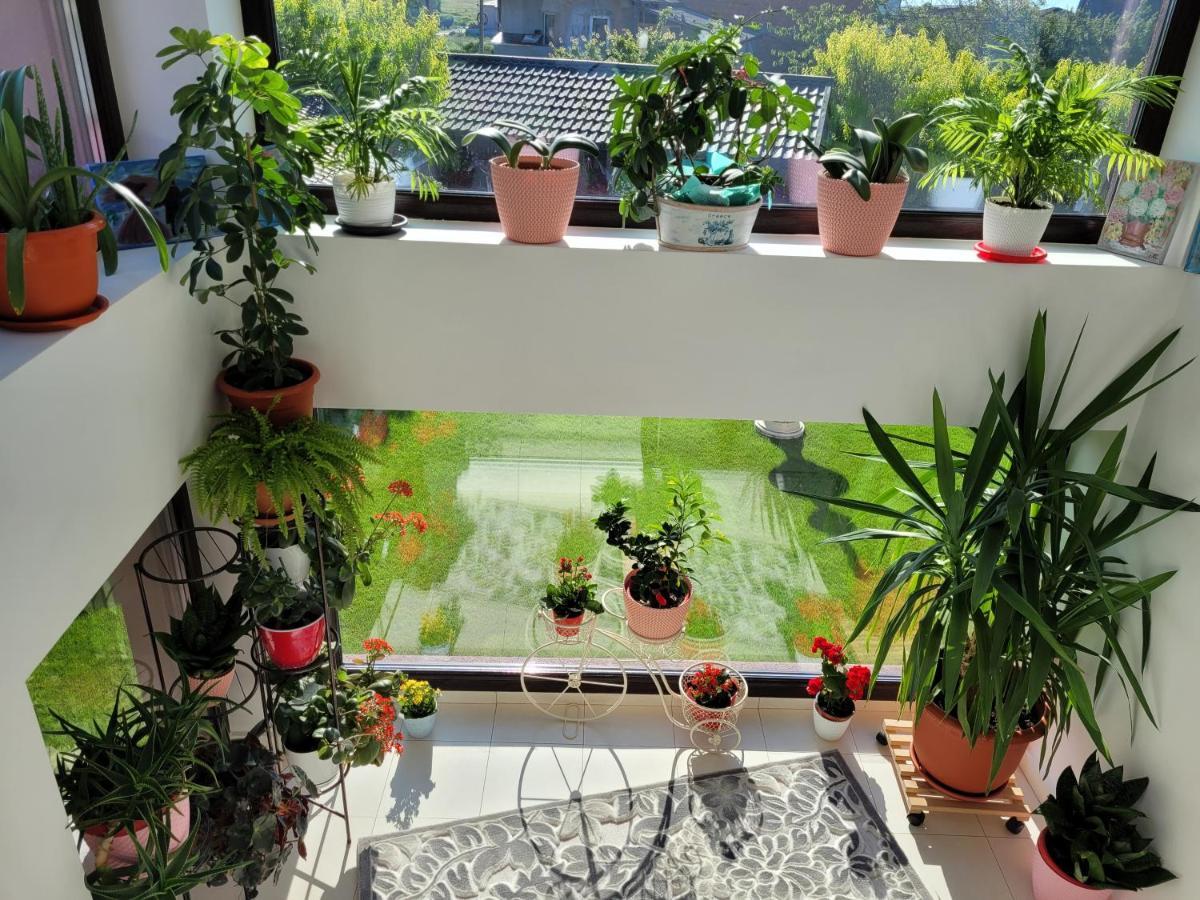 Hotel Kys House Techirghiol Zewnętrze zdjęcie