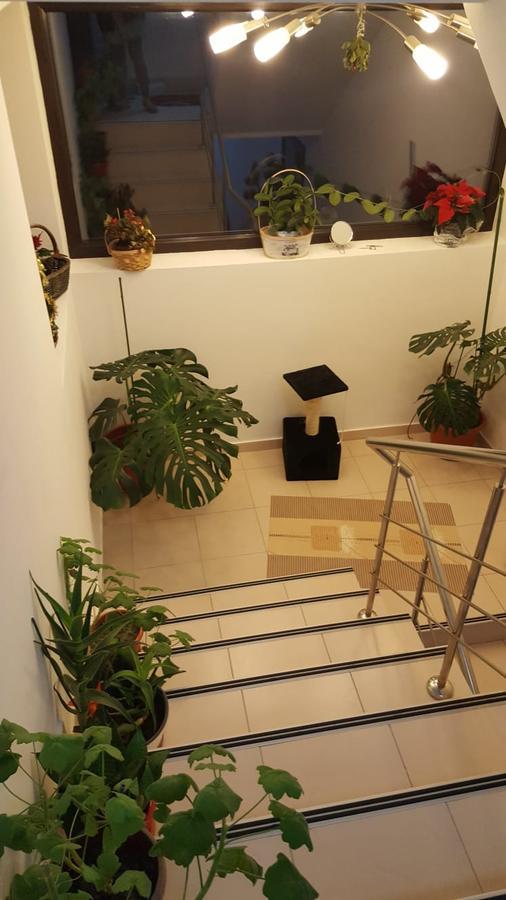 Hotel Kys House Techirghiol Zewnętrze zdjęcie