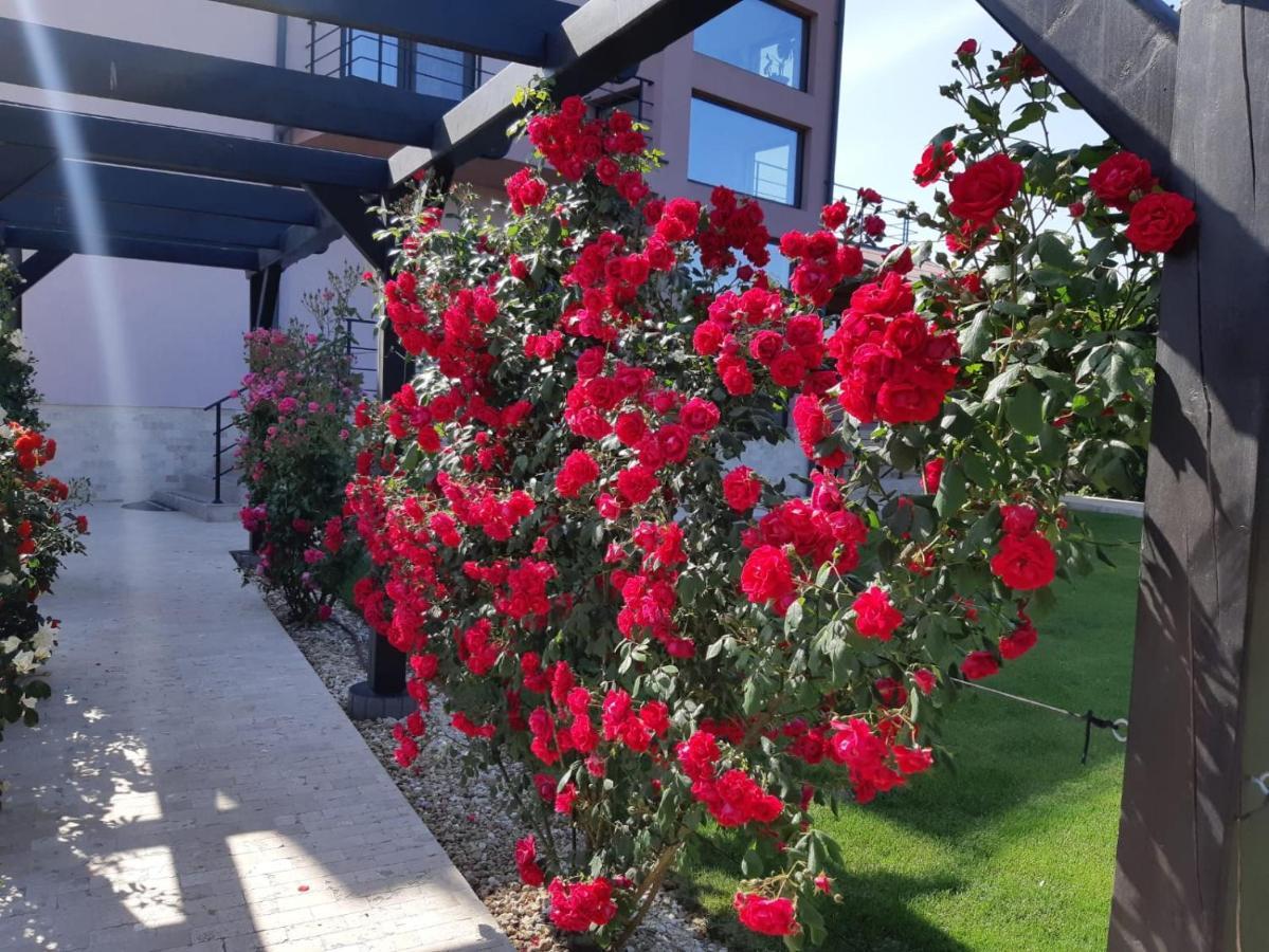 Hotel Kys House Techirghiol Zewnętrze zdjęcie