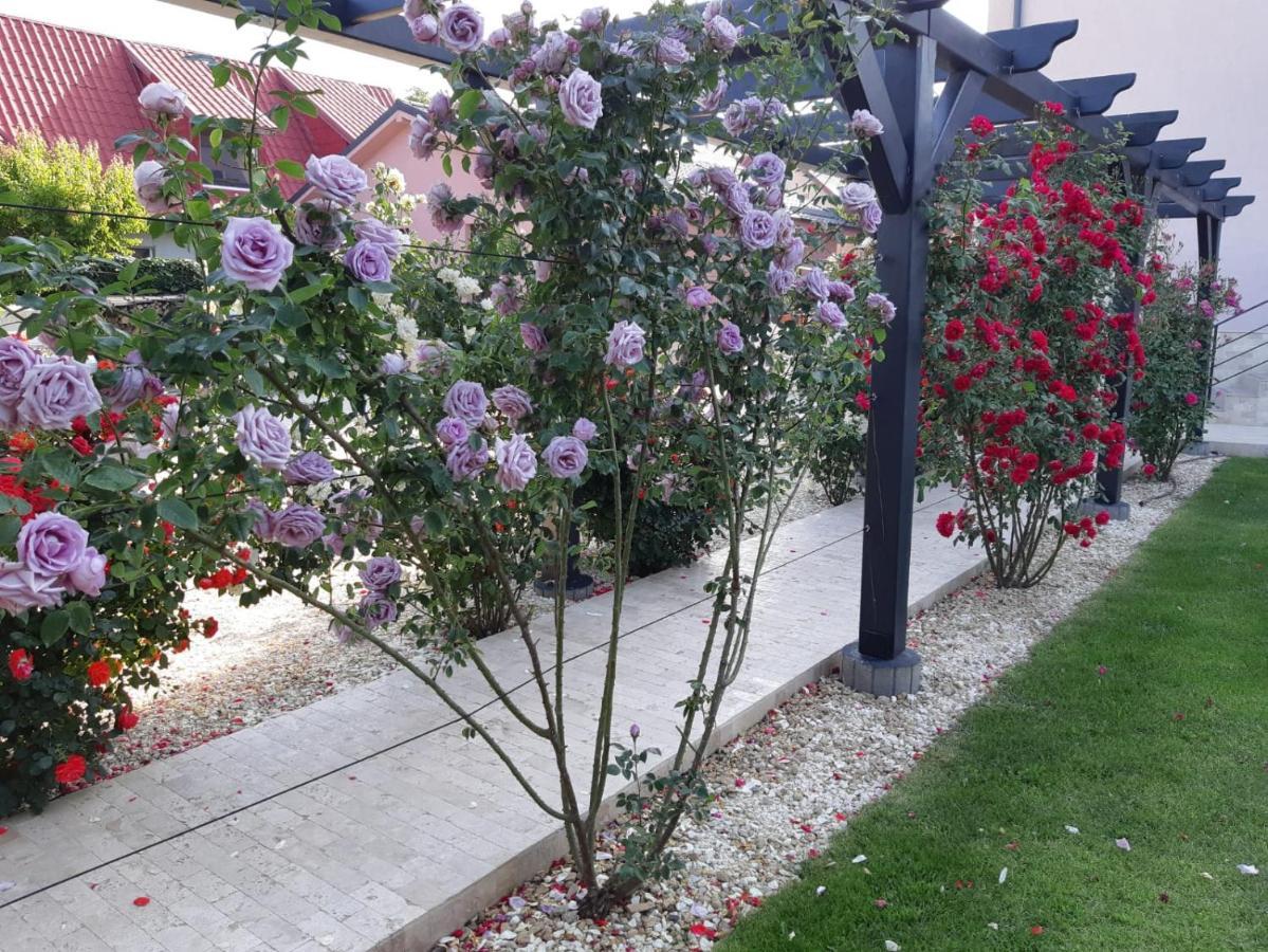 Hotel Kys House Techirghiol Zewnętrze zdjęcie